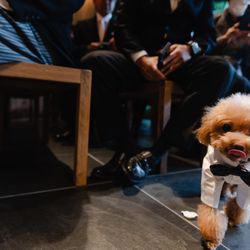 TRUNK HOTELの写真17枚目