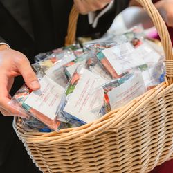 Mia Viaの写真1枚目