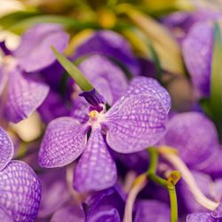 キンプトン新宿東京の写真24枚目