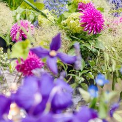 キンプトン新宿東京の写真21枚目