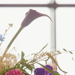 キンプトン新宿東京の写真8枚目