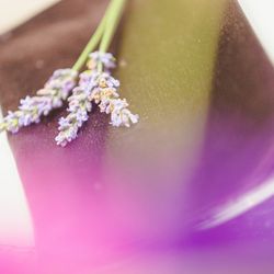 キンプトン新宿東京の写真4枚目