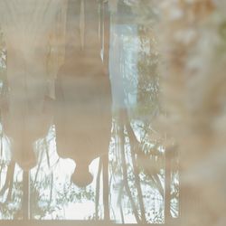 キンプトン新宿東京の写真21枚目