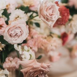 東京會舘の写真13枚目