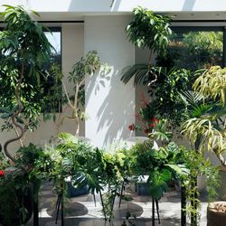 TRUNK HOTELの写真9枚目