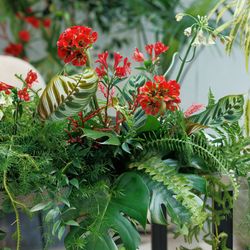 TRUNK HOTELの写真17枚目