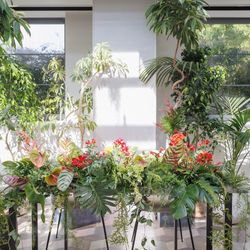 TRUNK HOTELの写真13枚目