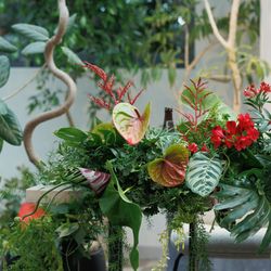 TRUNK HOTELの写真23枚目