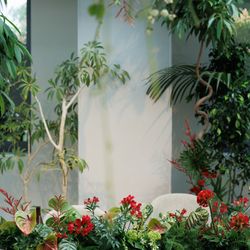 TRUNK HOTELの写真36枚目