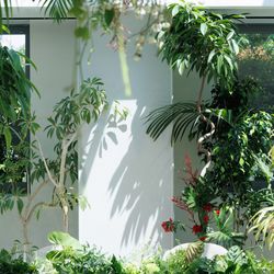 TRUNK HOTELの写真8枚目