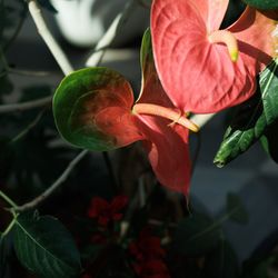 TRUNK HOTELの写真1枚目