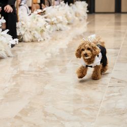 キンプトン新宿東京の写真34枚目