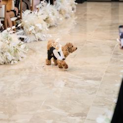 キンプトン新宿東京の写真32枚目