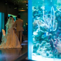 品川プリンスホテルの写真2枚目