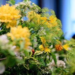 パレスホテル東京の写真24枚目