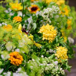 パレスホテル東京の写真11枚目