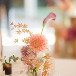 鶴見ノ森 迎賓館の写真29枚目