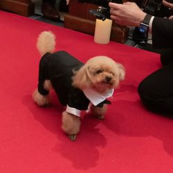 グラストニアの写真4枚目