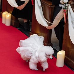 グラストニアの写真16枚目