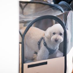 百花籠の写真1枚目