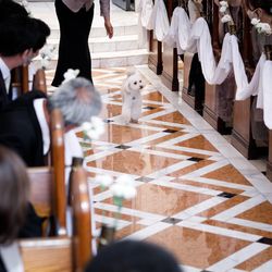百花籠の写真7枚目