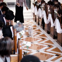 百花籠の写真15枚目