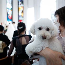 百花籠の写真20枚目