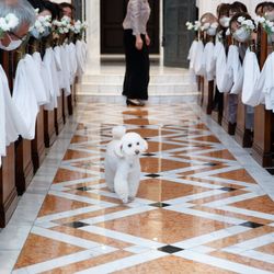 百花籠の写真1枚目