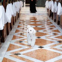 百花籠の写真2枚目