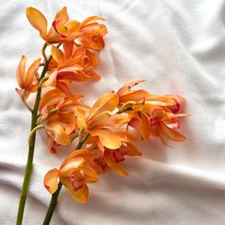 TRUNK HOTELの写真36枚目