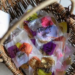 Mia Viaの写真2枚目