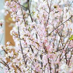 パレスホテル東京の写真2枚目