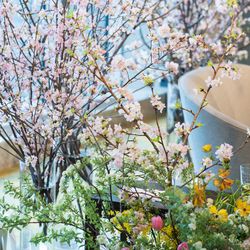 パレスホテル東京の写真11枚目