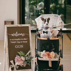 ザ・ガーデンオリエンタル大阪の写真27枚目