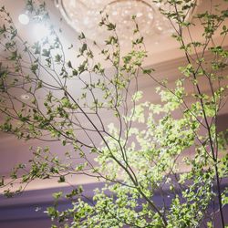 ザ・リッツ・カールトン大阪の写真30枚目