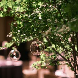 ANAインターコンチネンタルホテル東京の写真30枚目