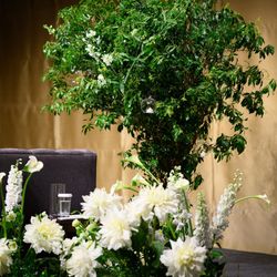 パレスホテル東京の写真15枚目