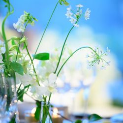 パレスホテル東京の写真4枚目