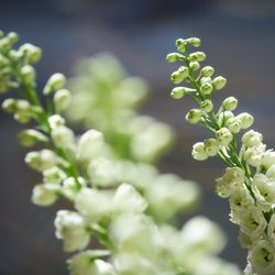 パレスホテル東京の写真6枚目