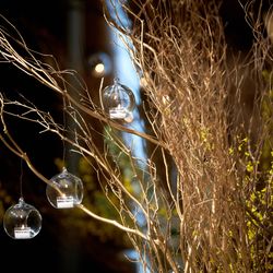 パレスホテル東京の写真33枚目