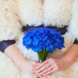 パレスホテル東京の写真16枚目