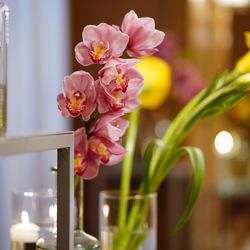 TRUNK HOTELの写真3枚目