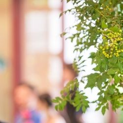 アマンダンヒルズの写真22枚目