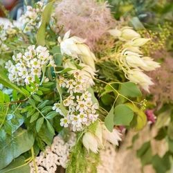 アマンダンヒルズの写真21枚目