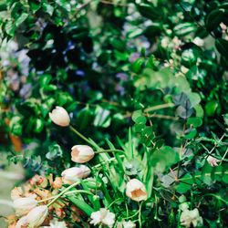 パレスホテル東京の写真8枚目