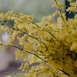 TOASTの写真12枚目