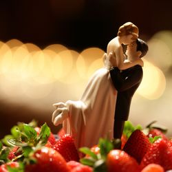 パーク ハイアット 東京の写真15枚目