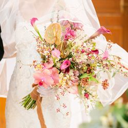 ララシャンス 博多の森の写真19枚目