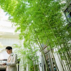 横浜迎賓館の写真8枚目