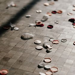 フォーシーズンズホテル京都の写真18枚目